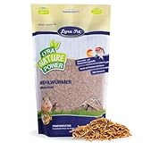 Lyra Pet® | 10 kg Mehlwürmer getrocknet | Proteinreiches Vogelfutter | Für Wildvögel, Nager, Reptilien & Fische | Nahrhaftes Futter | Energiespender für Insektenfresser | Vitamine & Mineralstoffe