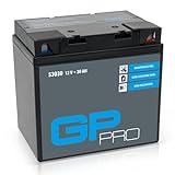 GP-PRO 53030 12V 30Ah GEL-Batterie (Kompatibel mit SLA53030 / C60-N30-A) Motorradbatterie, GEL Batterie für Quad, Rasentraktor uvm, anthrazit, blau, schwarz