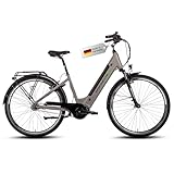 SAXONETTE E Bike 28 Zoll elektrofahrräder mit Mittelmotor 70NM， 36V 11.6Ah 418Wh Akku, 120KM Lange Range, 7 Gäng E-Trekking Bike Electric Bicycle mit Felgenbremse für Damen und Herren RH45CM