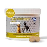 NutriLabs Acid Protect® Kautabletten für Hunde 100 Stk. - Magenkräuter-Tabletten mit Montmorillonit, Flohsamen, Eibisch, Zink, etc. - Gesundheitsprodukte für Hunde - Nahrungsergänzung Hund