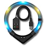 LEUCHTIE® Leuchthalsband Easy Charge eisblau-vanille Größe 57,5 I LED Halsband für Hunde I USB aufladbar I konstante Leuchtkraft I wasserdicht I extrem hell