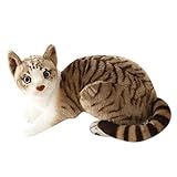 Kuscheltier Katze Lebensecht, 30cm Simulation Kurzhaar Nette Katze Puppe Flauschigen Plüsch Kätzchen Liegend Stofftier echt siamesische Katze Plüschtier Katze Plüschfiur Spielzeug für Kinder Frauen