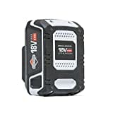 Briggs & Stratton 18V Lithium-Ionen-Akku 2.5Ah Akku für Murray 18V, mit USB-Adapter, 3 Jahre Garantie, 883251, 1697532