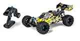 Carson 500202020-1:8 King of Dirt RC Buggy - RTR ferngesteuertes Auto V25 GP, bis 70 kmh schnell, RC Auto mit Fernbedienung (2,4 GHz), für Erwachsene und Kinder ab 14 Jahre, gelb