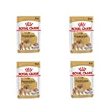 Royal Canin Pomeranian Adult | 4er Pack | 4 x 12 x 85 g | Alleinfuttermittel für Hunde | Für ausgewachsene und ältere Zwergspitze | Ab dem 8. Monat | Angepassten Mineralstoffgehalt