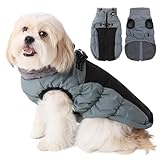 Savlot Hundejacke Winterweste Jacken Hundemantel Hundepullover Haustier Skifahren Kostüm Ärmellose Baumwolle Gepolsterte Weste Mit D-Ring (XS, Blau)