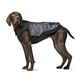 Canada Pooch Hundemantel, Summit Stretch Vest, Weste mit Kunstdaunen für Hunde, Pfeffergrau, Größe 22