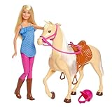 Barbie-Puppe und Pferdespielzeug, Barbie-Reitzubehör, 1 Barbie-Puppe und 1 Pferd enthalten, als Geschenk für Kinder ab 3 Jahre geeignet, FXH13