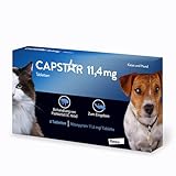 Capstar Tabletten für Katzen und kleine Hunde bis 11 kg, schnell wirksames Mittel gegen Flöhe, 6 Tabletten-Packung