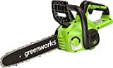 Greenworks G40CS30II Akku Kettensäge, 12 Zoll (30 cm) Blattlänge, 4,2 m/s Kettengeschwindigkeit, 2,6 kg, automatisches Öl-System OHNE 40V Akku & Ladegerät, 3 Jahre Garantie