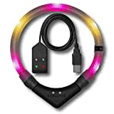 LEUCHTIE® Leuchthalsband Easy Charge hotpink-vanille Größe 42,5 I LED Halsband für Hunde I USB aufladbar I konstante Leuchtkraft I wasserdicht I extrem hell