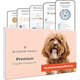 Wisdom Panel Premium - Dog DNA Test for Umfassende Gesundheit, Eigenschaften und Vorfahren 75g