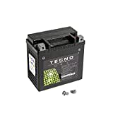 Premium TECNO-GEL Motorrad-Batterie HD14HL-BS = VTB-3 TWIN für HARLEY DAVIDSON XL 883, C, N, L, R Sportster 2004-2017, 12V Gel-Batterie 12Ah, 149x87x144 mm