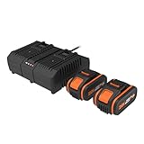 WORX - Set mit 2 Akkus und Doppel-Ladegerät – 20 V – 4 Ah – WA3611 (mit Ladezustandsanzeige, kompatibel mit Allen Werkzeugen 20 V/40 V/80 V)