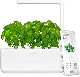 Click and Grow Growbox, Smart Garden, einfacher als Hydroponisches anzuchtsystem, Indoor Garten, kräutergarten, Indoor gewächshaus mit 3 Plant pods dabei, Weiß