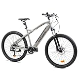 TRETWERK - 27,5 Zoll E-Bike Mountainbike - Commander grau - Pedelec Mountainbike mit 9 Gang Shimano Kettenschaltung - Elektrofahrrad MTB Hardtail mit Hecknabenmotor 250W, 36V