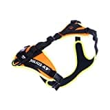 Julius-K9, 19MTR-FOR-M-AMZ, Mantrailing & Outdoor Hundegeschirr, Größe: M, UV orange mit neon Rand