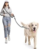 WANFIRE Freihandleinen Hundeleine für Große Mittelgroße Hunde, Fahrradleine Schleppleine Umhängeleine Joggingleine Hunde mit Autositz Sicherheitsschnalle Zum Gehen Joggen Laufen Dog Leash (1.8-2.9m)