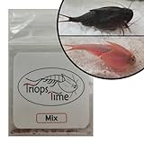 Triops Mix (Urzeitkrebse) - 100 Eier von Hand gezählt mit Futter und Anleitung für eine artgerechte Haltung von Triops