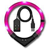 LEUCHTIE® Leuchthalsband Easy Charge für Hunde, USB aufladbar, wasserdichtes LED Halsband, extrem hell, 25h Leuchtdauer, kleine mittlere und große Hunde hotpink Größe 40