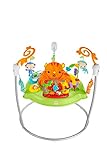 Fisher-Price CHM91 - Spielspaß Rainforest Jumperoo, mit Lichtern und Musik, höhenverstellbar, Babyspielzeug ab der Geburt