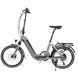 Stadtfalter E-Bike Faltrad B13SFA_G mit 36V & 14,0Ah Li-Ion Samsung-Akku | Extrem kompakt | Deutsche Qualitätsmarke | 20" Klapprad mit 6 Gang Shimano Kettenschaltung, Heckmotor, Scheibenbremsen | grau