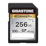 GIGASTONE Kamera Pro 256GB SDXC Speicherkarte bis zu 100 MB/S. Digitalkameras Canon Sony Nikon Olympus, 4K UHD Videoaufnahmen UHS-I U3 V30 Klasse 10