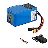 E-Bike Batterie 24V Li-Ionen-Batterie 6Ah 12Ah 9Ah mit Ladegerät 29.4V 200W 250W 300W 350W 400W 500W Kann für Roller Spielzeugautos usw