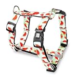 Max & Molly Urban Pets H-Harness - Watermelon - M