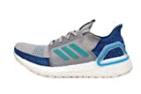 adidas Ultraboost 19 Mens in Grey Two/Shock Grey