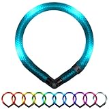 LEUCHTIE® Leuchthalsband Mini für Hunde, wasserdichtes LED Halsband, enorm hell, 50h Leuchtdauer, für kleine Hunde türkis Größe 32,5