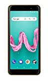 Wiko Lenny 5 Smartphone (17,8 cm (5,7 Zoll) Display, 16GB interner Speicher, Android Oreo Go Edition) gold