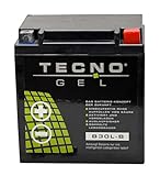 TECNO-GEL Motorrad-Batterie für YB30L-B für Harley Davidson FLHR alle 1340, 1450, 1584, 1690, 1745, 1800, 12V Gel-Batterie 30Ah, 168x132x176 mm