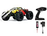 JAMARA 503854 - Tiger Monstertruck 4WD 1:10 Lipo 2,4GHz mit LED - Allrad, Elektroantrieb, mehrfarbig