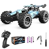 Pmgud Ferngesteuertes Auto, 2,4 GHz 1:18 Proportional 2WD 20+ km/h Hobby Offroad Monster RC Truck, wasserdichte RC Truggy RTR Geländegängig Spielzeug-blau