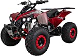 Original Actionbikes Motors Kinder Midiquad ATV S-10 | 4 Takt 125 cc 7 kW Benzinmotor - Bis 50 km/h - Not-Aus-Leine - Daumengas drosselbar - Kinderfahrzeug (Lackiert Camouflage)