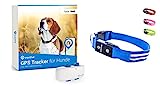 Tractive GPS Tracker für Hunde + LED-Halsband. Live-Ortung mit unbegrenzter Reichweite (Blau, S)