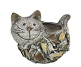 DARO DEKO Tier Figur in Stein-Optik Katze mit Pflanz-Topf 32 x 24cm