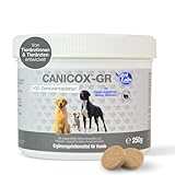 NutriLabs Canicox®-GR Tabletten für Senioren-Hunde 100 STK. - Seniorentabletten für Hunde mit MSM, Chondroitin, Glucosamin, Ginseng, Weißdorn u.v.m. - Gesundheitsprodukte für Hunde