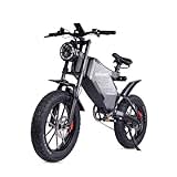 RZOGUWEX Elektrofahrrad, 20-Zoll-Offroad-EBIKE für Erwachsene mit abnehmbarem 48-V-25-Ah-Lithium-Ionen-Akku, doppelter hydraulischer Scheibenbremse mit geschmiedetem Mags-Rad