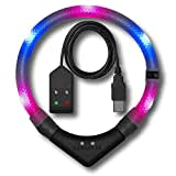 LEUCHTIE® Leuchthalsband Easy Charge pink-blau Größe 45 I LED Halsband für Hunde I USB aufladbar I konstante Leuchtkraft I wasserdicht I extrem hell