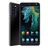 Telefon Entsperrt , LANDVO Rino4 Pro 5.45in Face Unlock Telefone des Standby-Smartphones 512MB 4GB Desbloqueados Dual Cards (Schwarz)