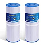 POOLPURE 2 stück Spa Hot Tub Filter 4-Unzen-Filtermedien Ersatz für Unicel C-4326 Pleatco PRB25-IN Filbur FC-2375 (rechnung vorhanden)