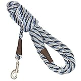 Mendota Snap Hundeleine, 1,27 cm x 4,6 m, gedreht, Arctic Blue