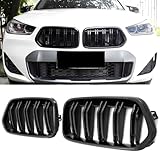 GCP PASST FÜR BMW X2 F39 SPORT KÜHLERGRILL DOPPELSTEG GRILL GLANZ SCHWARZ