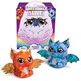 Hatchimals Alive Mystery Ei Draggle - magisches selbstschlüpfendes Ei ca. 25 cm groß mit interaktivem Überraschungs-Plüschtier, für Kinder ab 5 Jahren