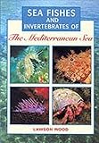 Sea Fishes and Invertebrates of the Mediterranean