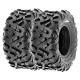 SunF A051 22x10-10 22x10x10 Power.II AT All-Terrain Reifen ATV UTV Geländereifen 6PR TL 47J, Satz von 2 Stück