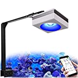 PopBloom RL90 WiFi Meerwasser LED 100W, Salzwasser LED beleuchtung volles Spectrum Aquarium Lampe für Reef Coral SPS/LPS Fischaquarium, APP unterstützt Deutsch (1 Lampe mit Armhalterung)