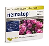 nematop® HB Nematoden zur Bekämpfung des Dickmaulrüsslers - 50 Mio. für 100m²